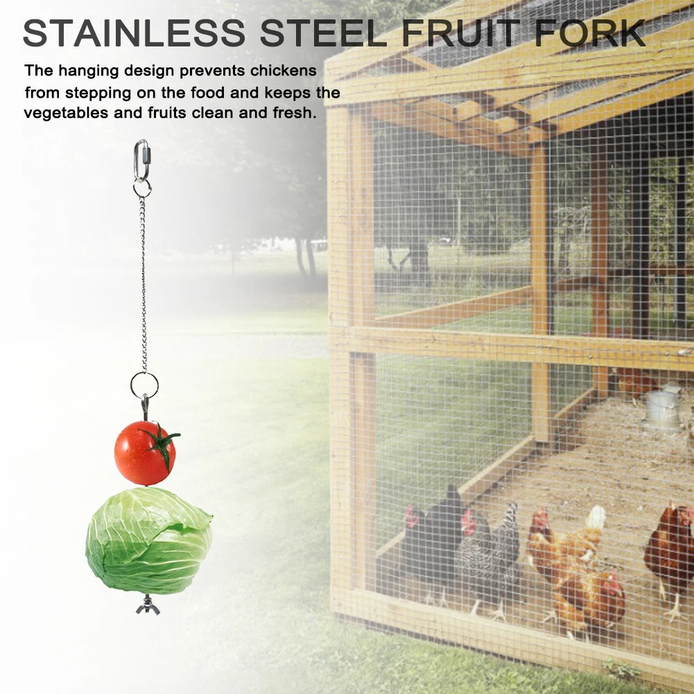 Pet Parrot Stainless Hanging Feeding