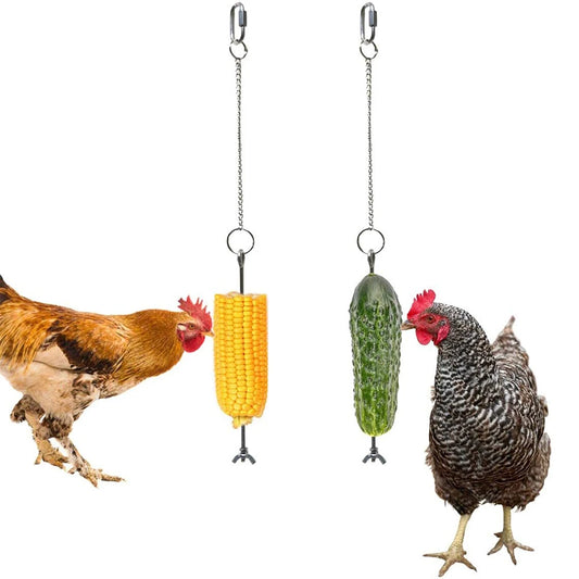 Pet Parrot Stainless Hanging Feeding