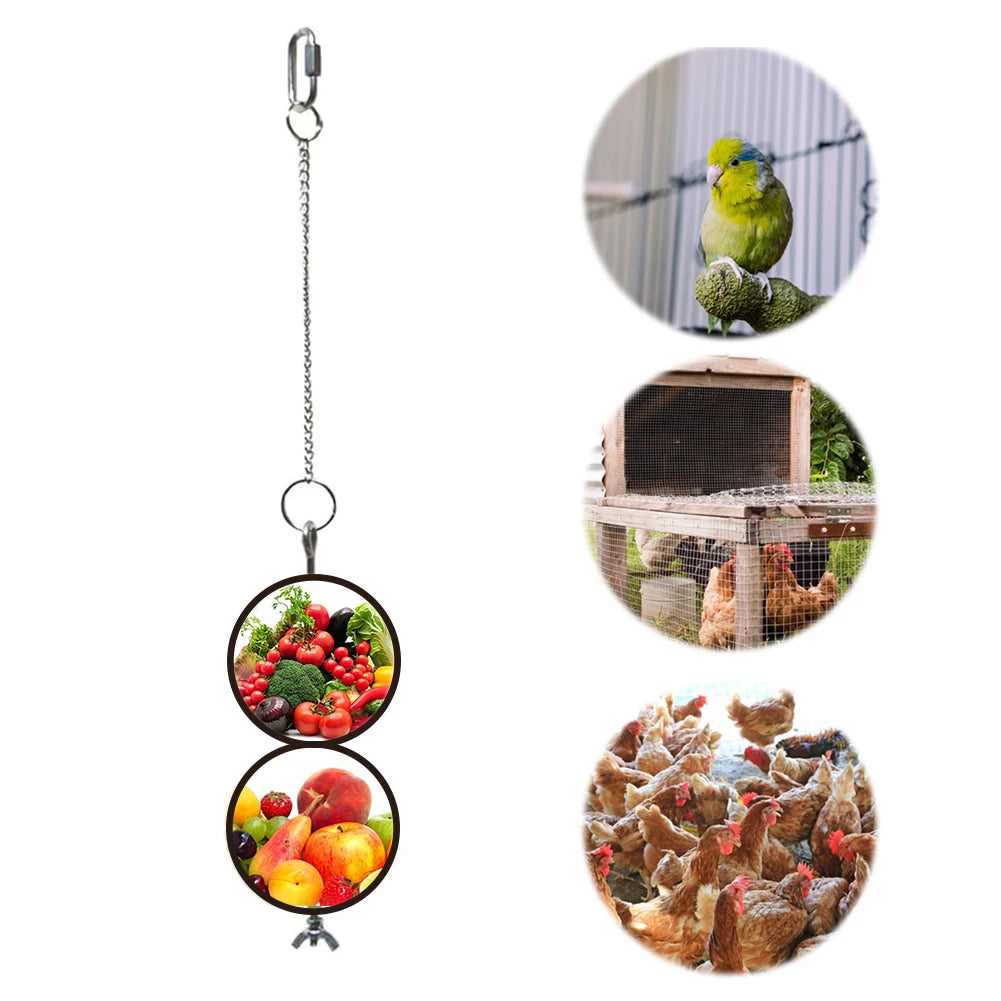 Pet Parrot Stainless Hanging Feeding