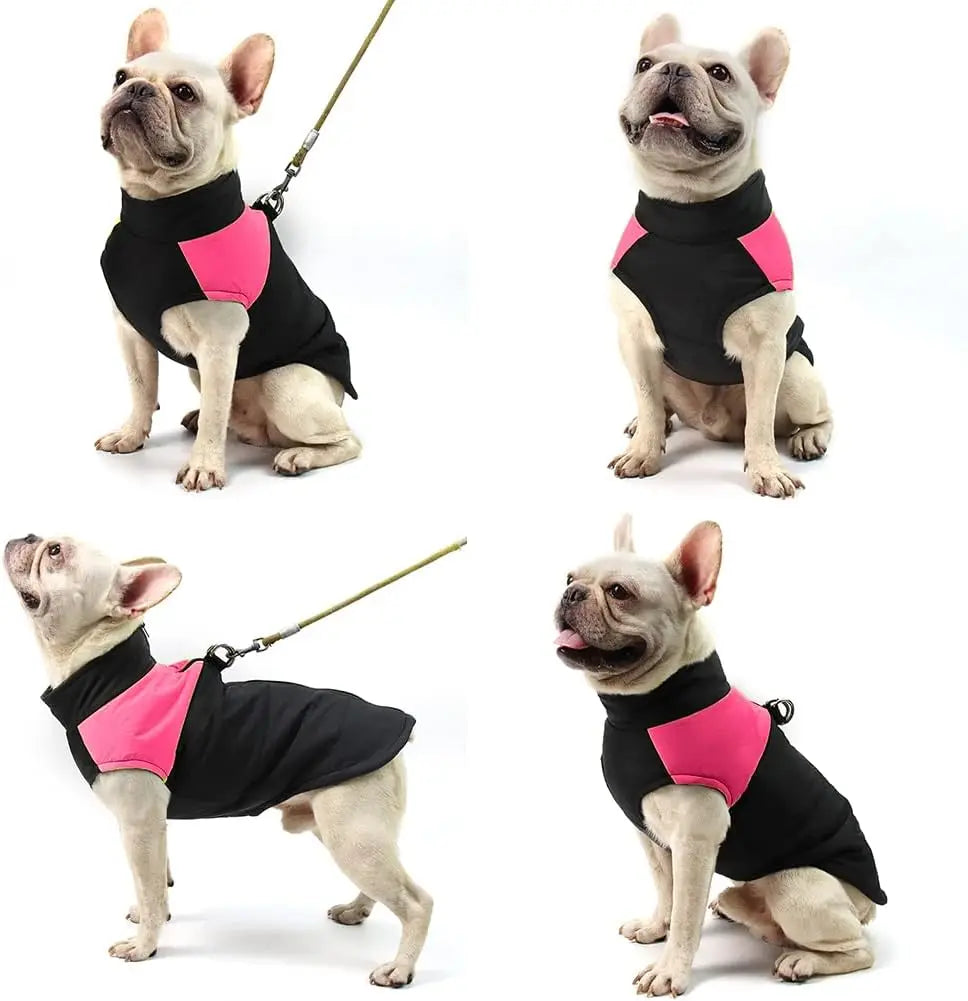 Waterproof Dog Coats Winter Warm Clothes Thick Padded Warm Pet Coats Padded Dog Jackets for Puppy Small Medium Large Dogs