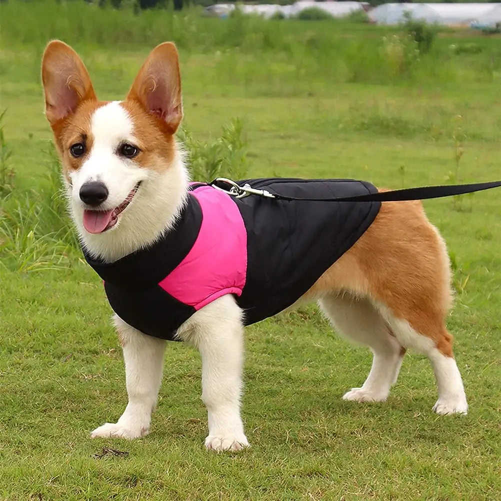 Waterproof Dog Coats Winter Warm Clothes Thick Padded Warm Pet Coats Padded Dog Jackets for Puppy Small Medium Large Dogs