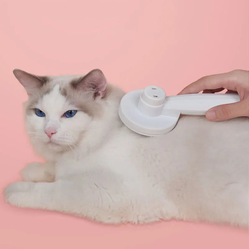 Pet Hair Removal brush