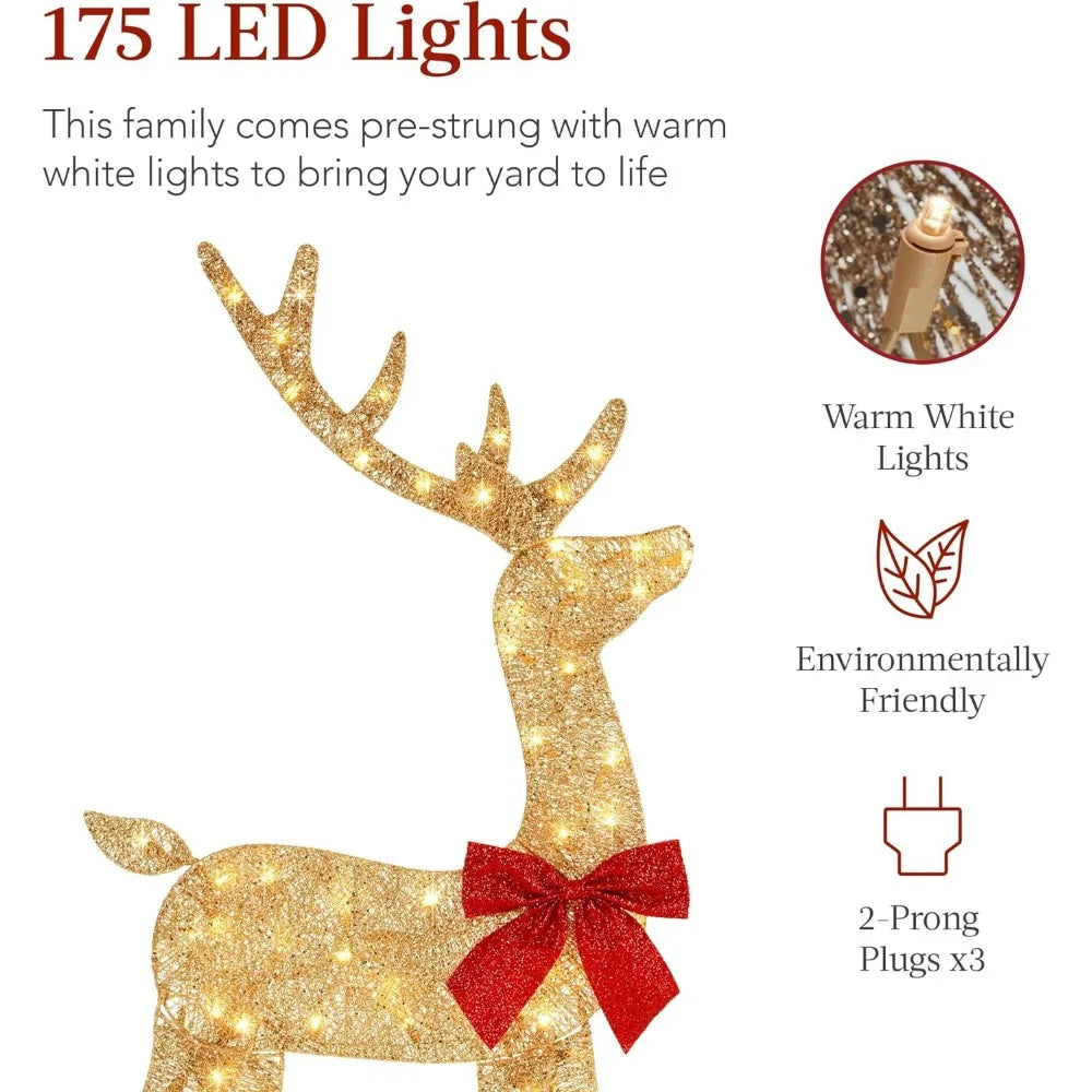 Lighted Christmas Deer Family Set