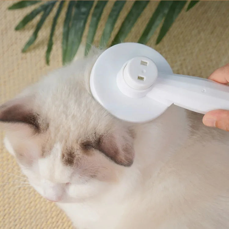 Pet Hair Removal brush