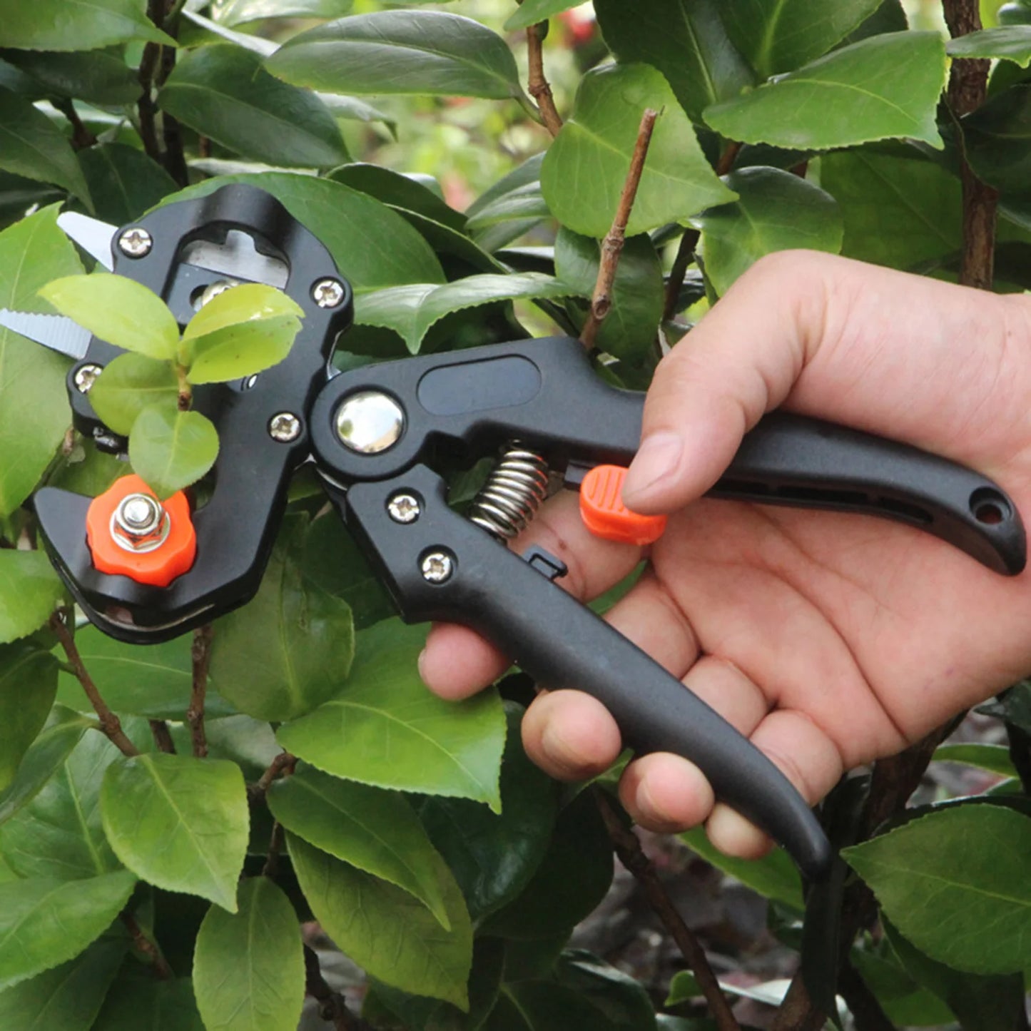 Professional Grafting Pruner Kit, Fruit Tree Cutting Shears