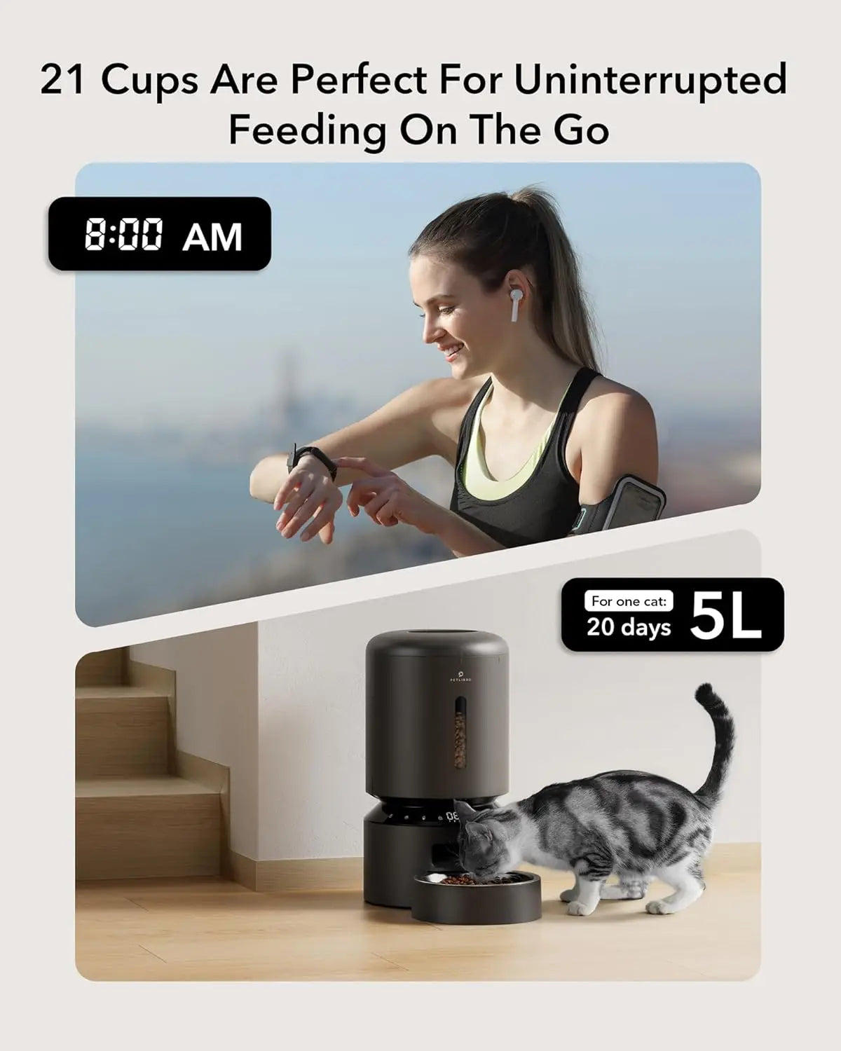 Automatic Cat or Dog Feeder for Dry Food Up to 6 Meals Per Day