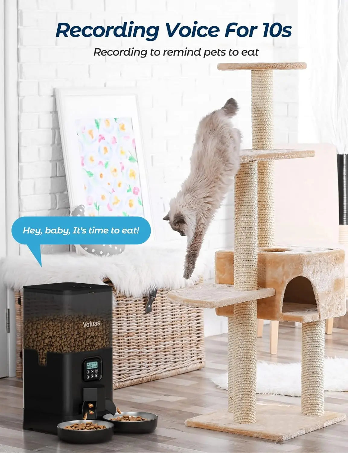 Automatic Cat Feeders Timed Memory Function