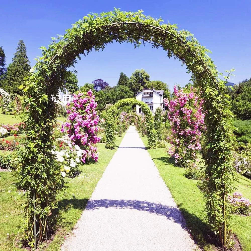 Metal Garden Arch Rose Archway Climbing Plants Trellis