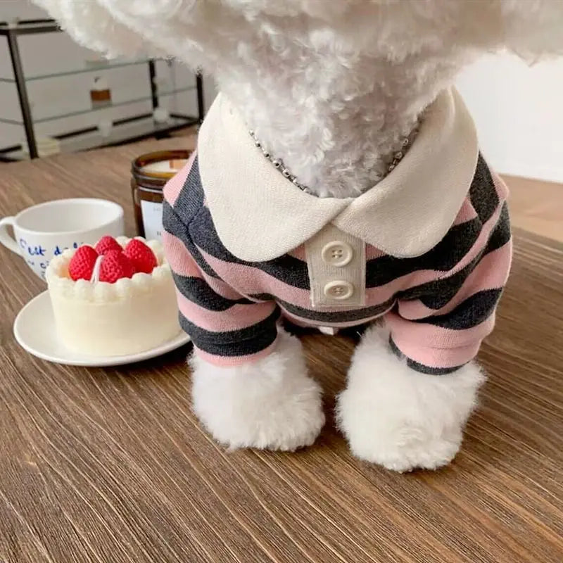 Dog Clothes Schnauzer Teddy York Shire Polo Shirt Summer