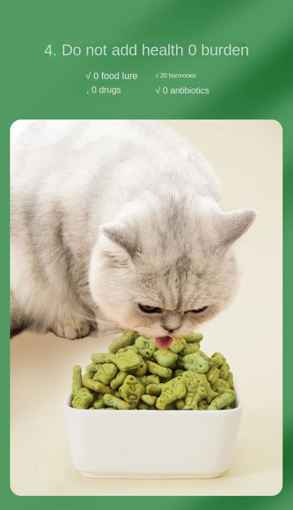 Mint Biscuit Cat Eating Snack