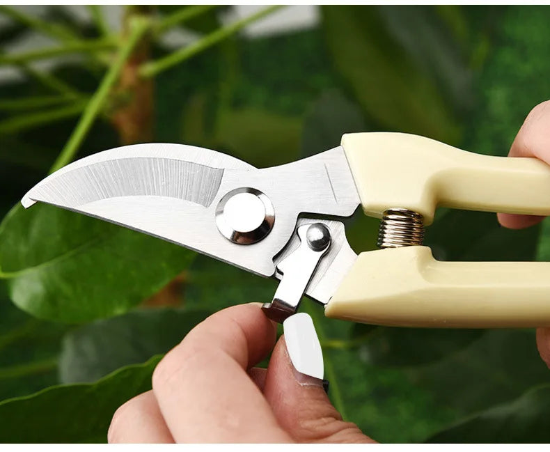 Professional Grafting Pruner Kit, Fruit Tree Cutting Shears