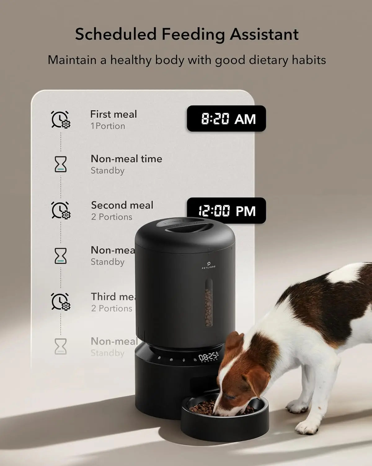 Automatic Cat or Dog Feeder for Dry Food Up to 6 Meals Per Day