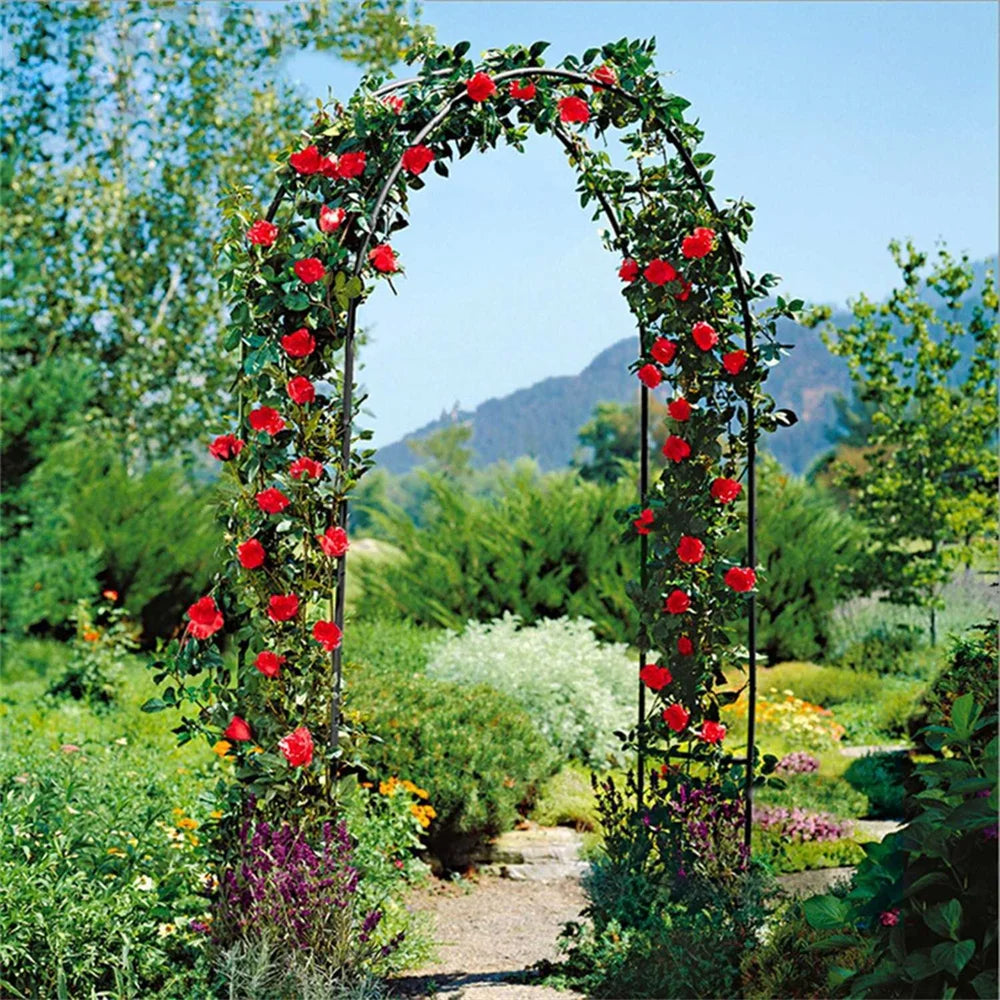 Metal Garden Arch Rose Archway Climbing Plants Trellis